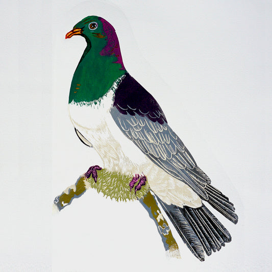 Kereru - New Zealand Pigeon linocut print